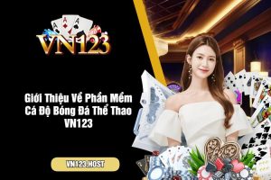 Giới Thiệu Về Phần Mềm Cá Độ Bóng Đá Thể Thao VN123